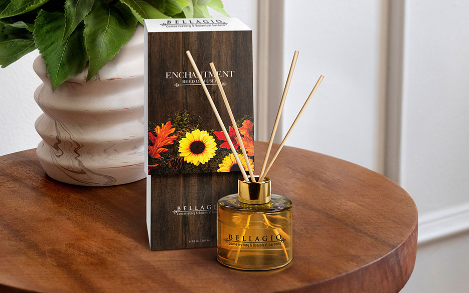 Enchantment Reed Diffuser